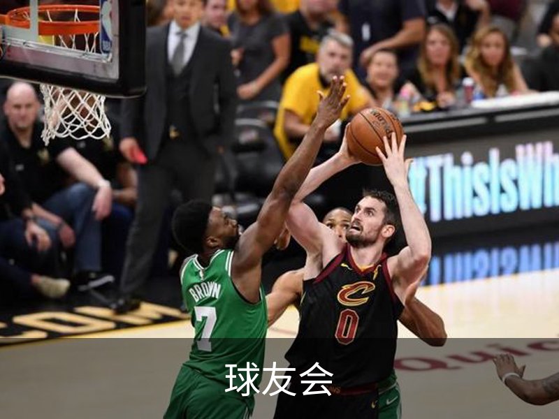 球友会概况